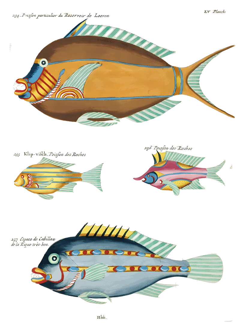 Peces de colores imposibles de la obra de Louis Renard, 1754