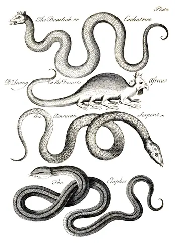 Historia natural de las serpientes, lámina III, Charles Owen, 1742