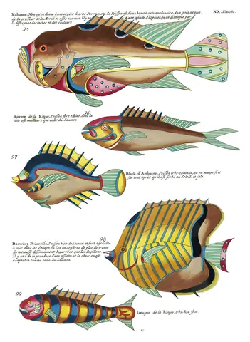 Peces de Renard, lámina XX, Louis Renard, 1754