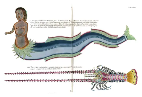 Lámina de Poissons, Ecrevisses et Crabes, Samuel Fallours, Louis Renard, 1754