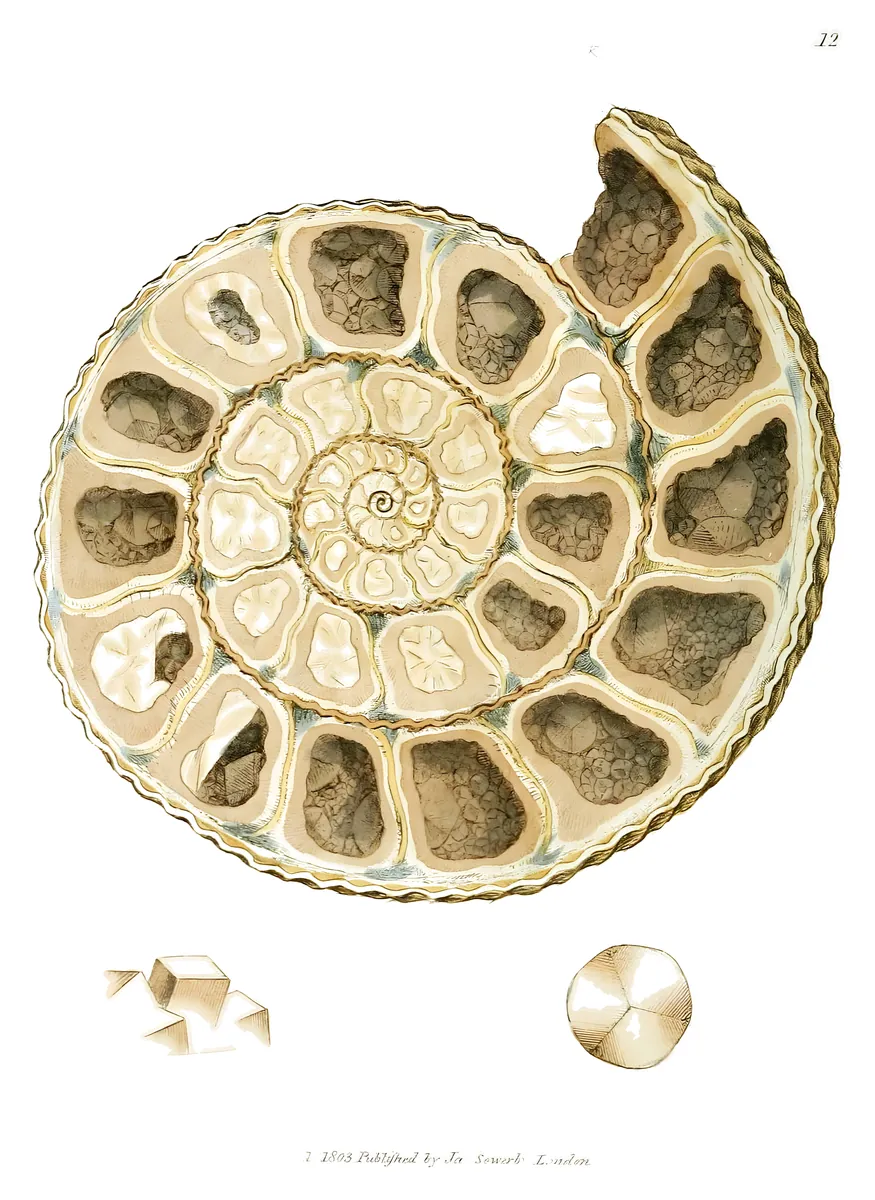 Calcita cristalizada, James Sowerby, 1802-17