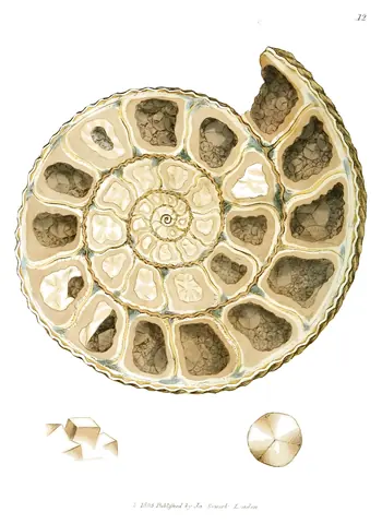 Calcita cristalizada, James Sowerby, 1802-17