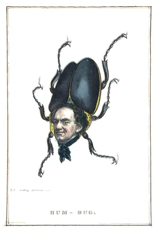 Escarabajo embaucador, Henry L. Stephens, 1851