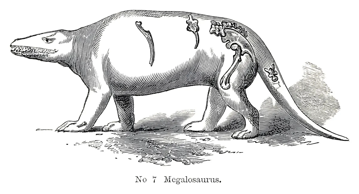 Megalosaurio, Benjamin Waterhouse Hawkins, 1854